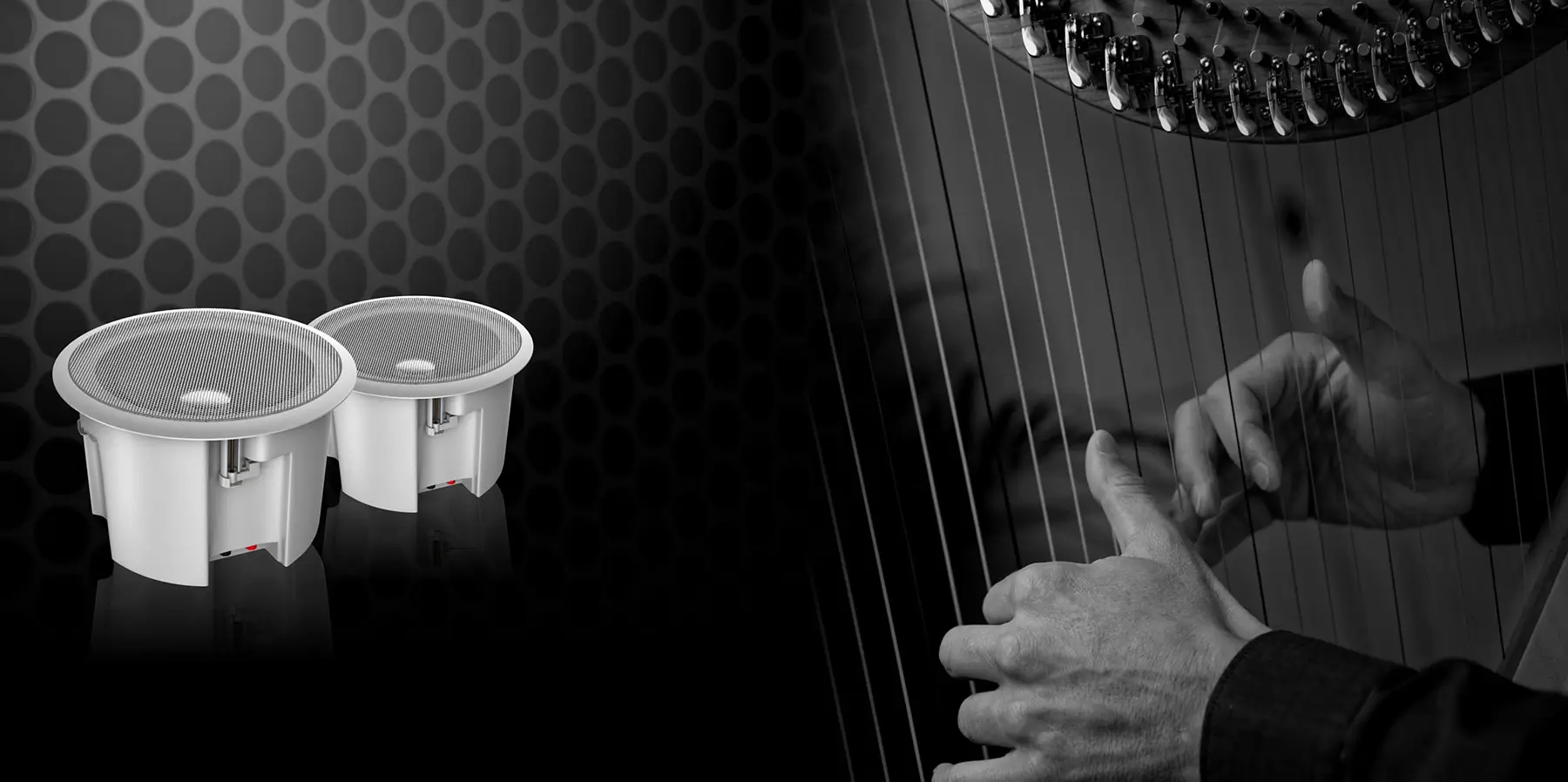 Harp Series